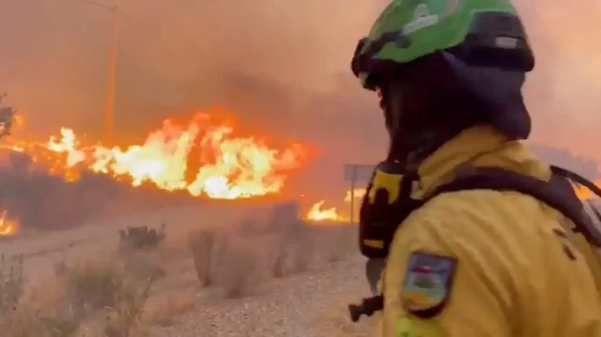 At least 12 people die in Spanish wildfire as heatwave grips Europe
