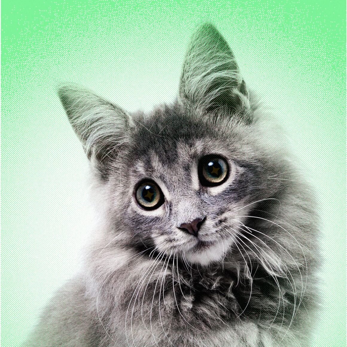 AI Slop Is Ruining Cute Animals on the Internet