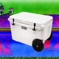 13 Best Coolers for Sunshine and Nighttime (2026)