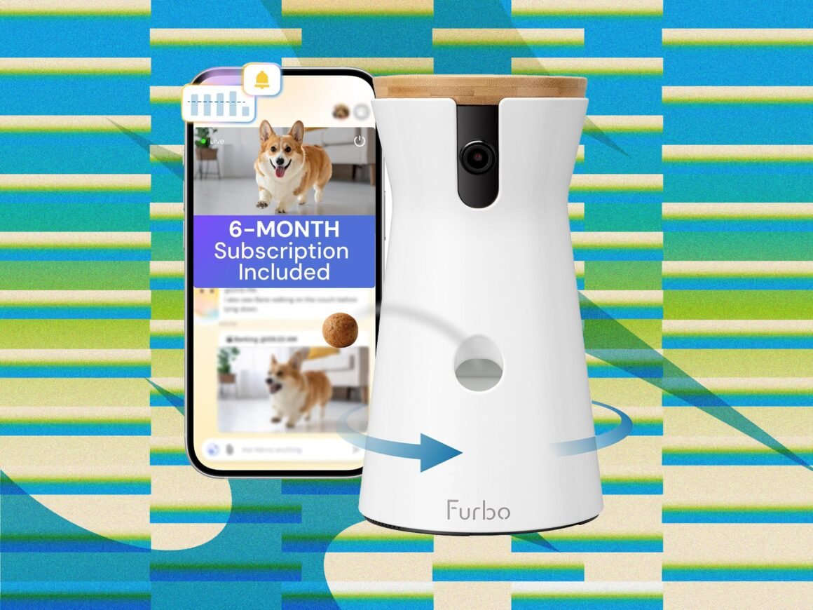 The Best Amazon Prime Day Pet Deals on Feeders, Litter Boxes, and More (2026)